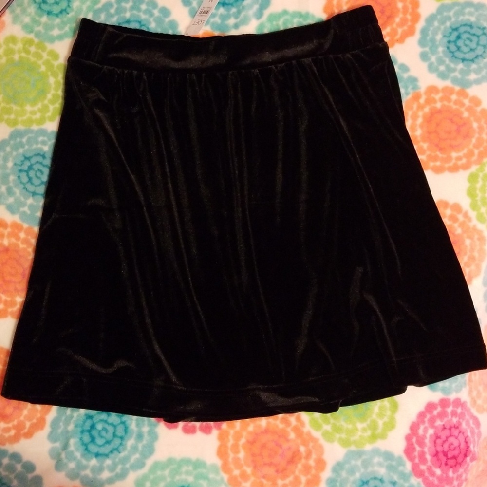 NWT Loft Skirt